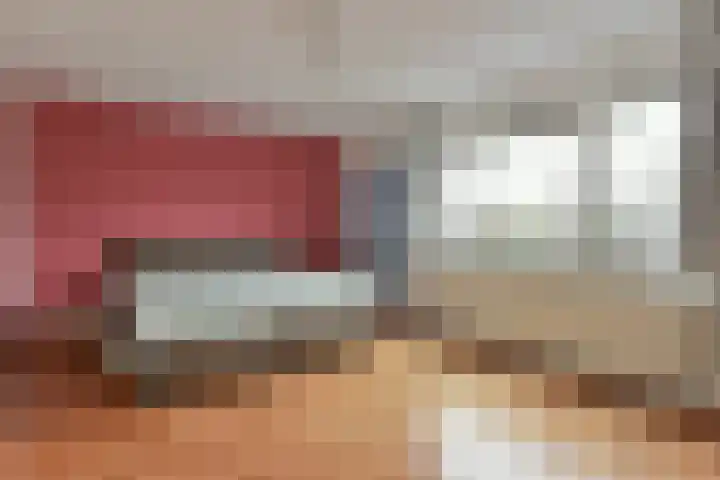 Bruine Lijster 16 Uithoorn thumbnail 11