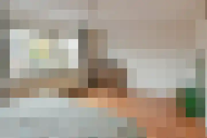 Bruine Lijster 16 Uithoorn thumbnail 12