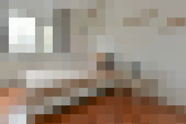 Bruine Lijster 16 Uithoorn thumbnail 13