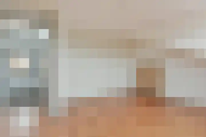Bruine Lijster 16 Uithoorn thumbnail 14