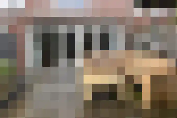 Bruine Lijster 16 Uithoorn thumbnail 17