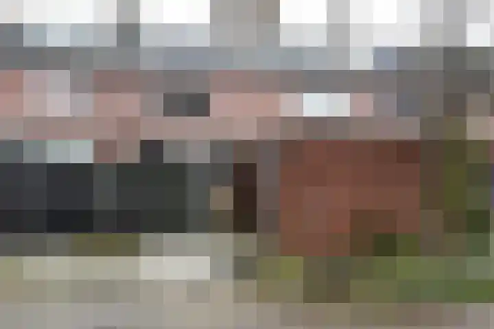 Bruine Lijster 16 Uithoorn thumbnail 20