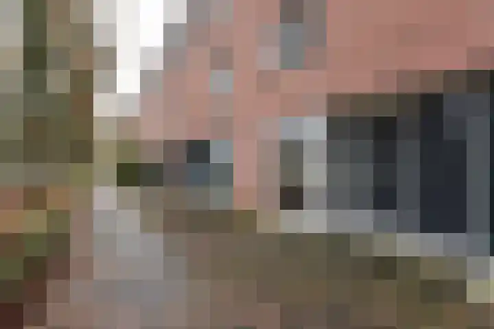 Bruine Lijster 16 Uithoorn thumbnail 21