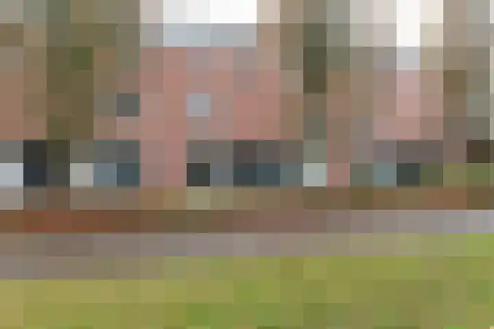 Bruine Lijster 16 Uithoorn thumbnail 23