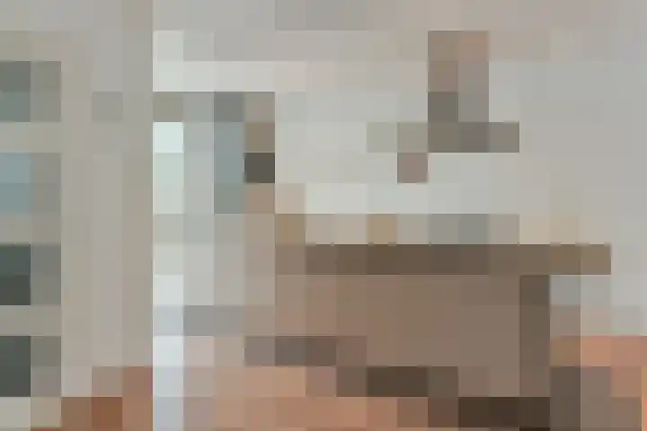 Bruine Lijster 16 Uithoorn thumbnail 6