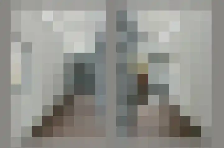 Bruine Lijster 16 Uithoorn thumbnail 8