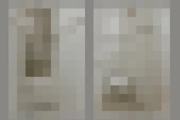 Bruine Lijster 16 Uithoorn thumbnail 9