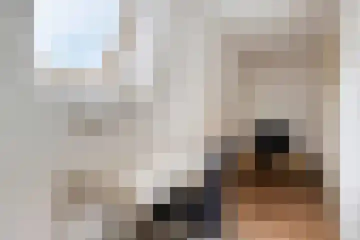 Bruine Ruiterstraat 5 a Groningen thumbnail 12