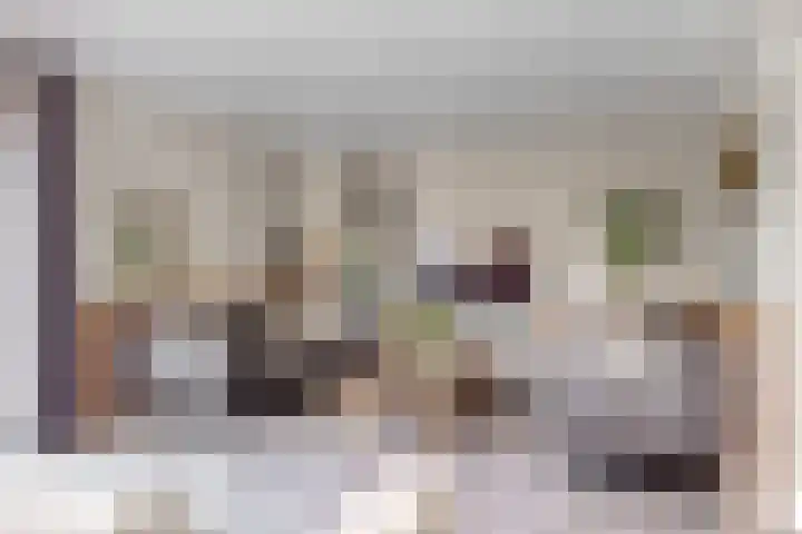 Bruine Vuurvlinder 10 Tiel thumbnail 10