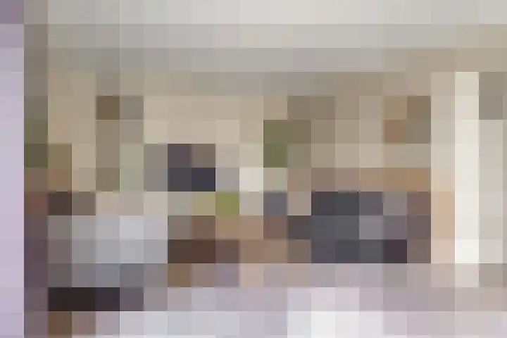 Bruine Vuurvlinder 10 Tiel thumbnail 11
