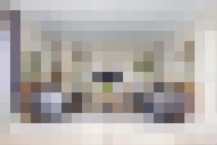 Bruine Vuurvlinder 10 Tiel thumbnail 12