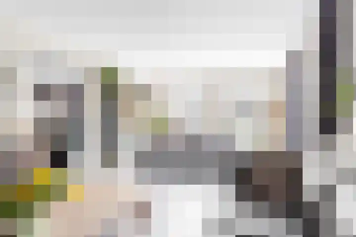 Bruine Vuurvlinder 10 Tiel thumbnail 13