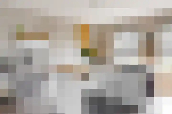 Bruine Vuurvlinder 10 Tiel thumbnail 14