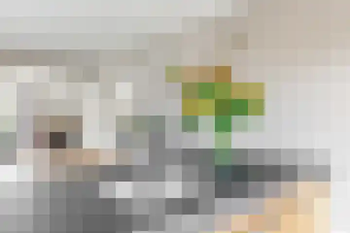 Bruine Vuurvlinder 10 Tiel thumbnail 17
