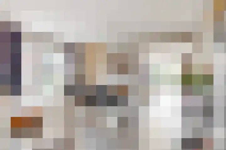Bruine Vuurvlinder 10 Tiel thumbnail 18