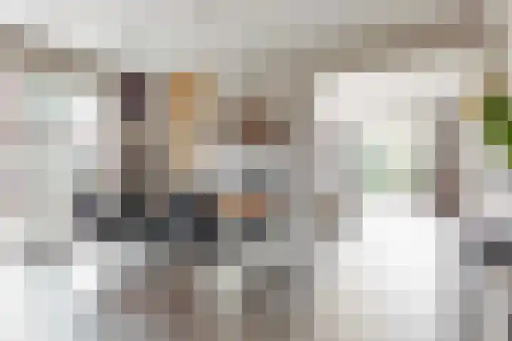 Bruine Vuurvlinder 10 Tiel thumbnail 19