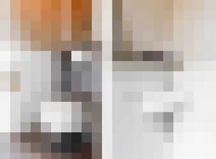 Bruine Vuurvlinder 10 Tiel thumbnail 21