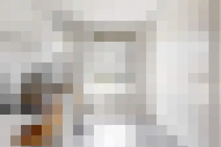 Bruine Vuurvlinder 10 Tiel thumbnail 22