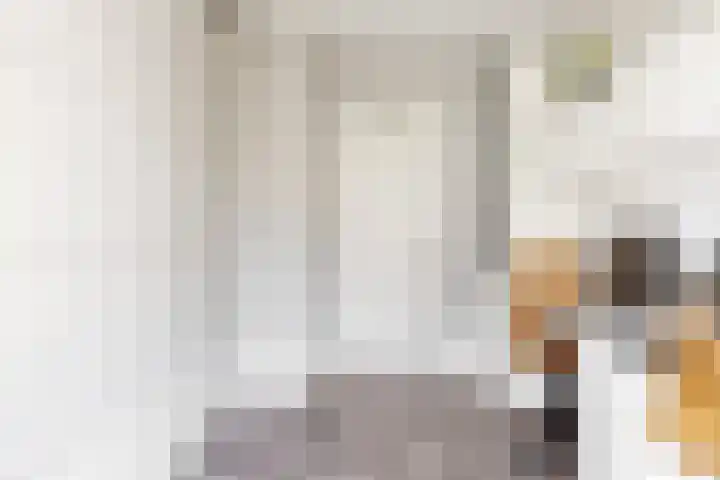 Bruine Vuurvlinder 10 Tiel thumbnail 23