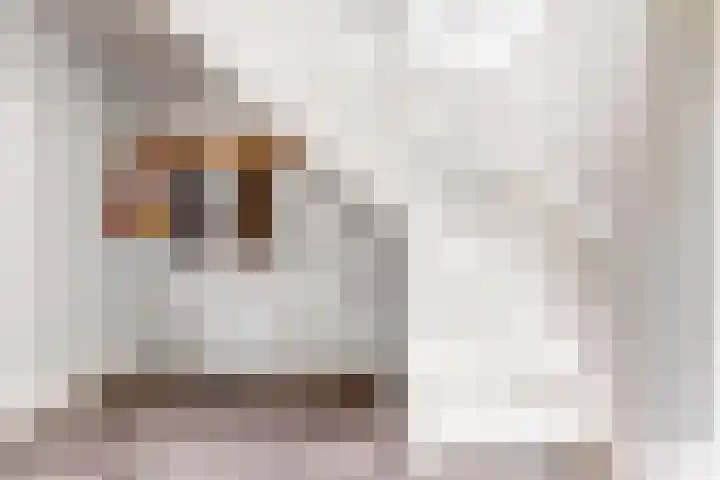 Bruine Vuurvlinder 10 Tiel thumbnail 24