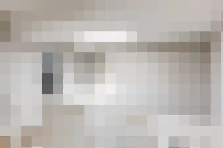 Bruine Vuurvlinder 10 Tiel thumbnail 25