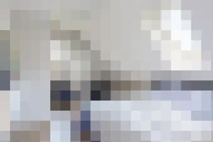 Bruine Vuurvlinder 10 Tiel thumbnail 27