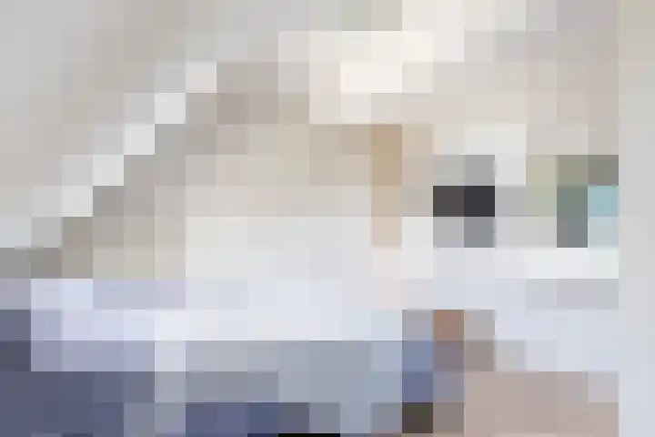 Bruine Vuurvlinder 10 Tiel thumbnail 28