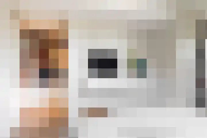 Bruine Vuurvlinder 10 Tiel thumbnail 29