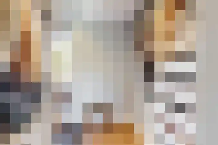 Bruine Vuurvlinder 10 Tiel thumbnail 30