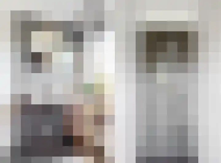 Bruine Vuurvlinder 10 Tiel thumbnail 31