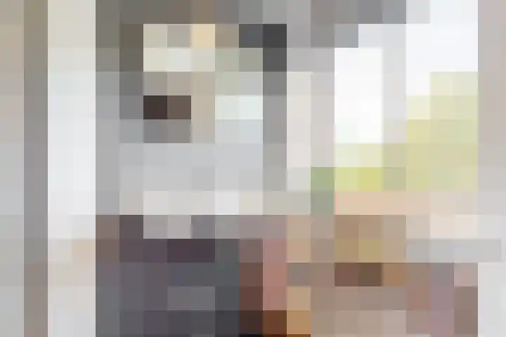 Bruine Vuurvlinder 10 Tiel thumbnail 32