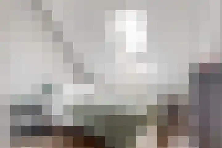 Bruine Vuurvlinder 10 Tiel thumbnail 34