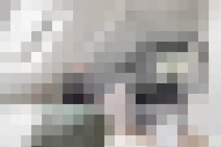 Bruine Vuurvlinder 10 Tiel thumbnail 35
