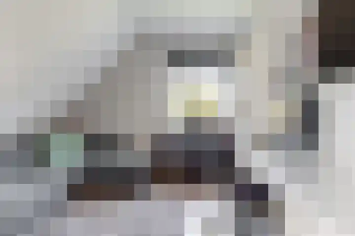 Bruine Vuurvlinder 10 Tiel thumbnail 36