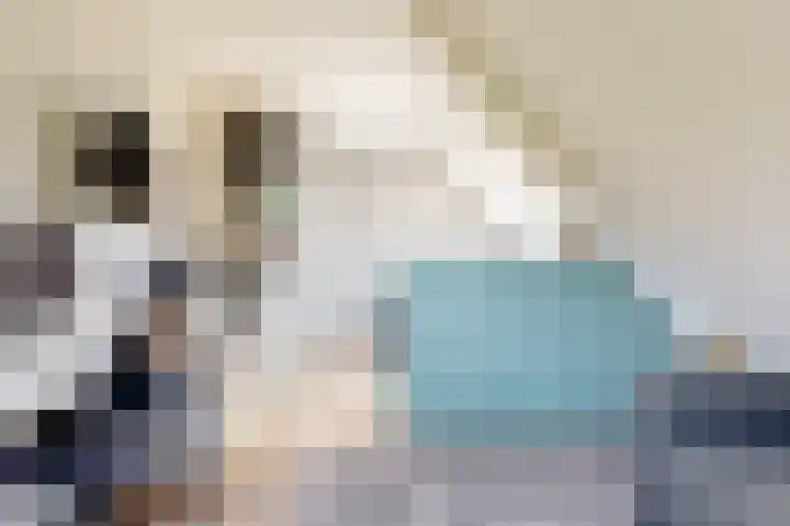 Bruine Vuurvlinder 10 Tiel thumbnail 37