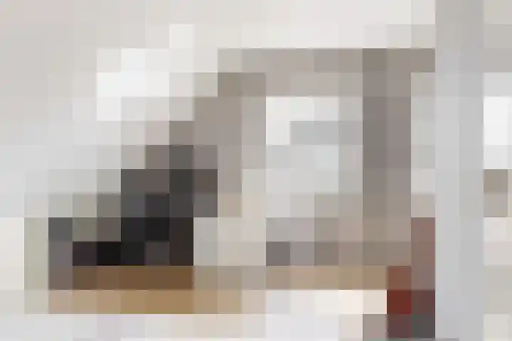 Bruine Vuurvlinder 10 Tiel thumbnail 38