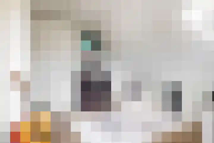 Bruine Vuurvlinder 10 Tiel thumbnail 39