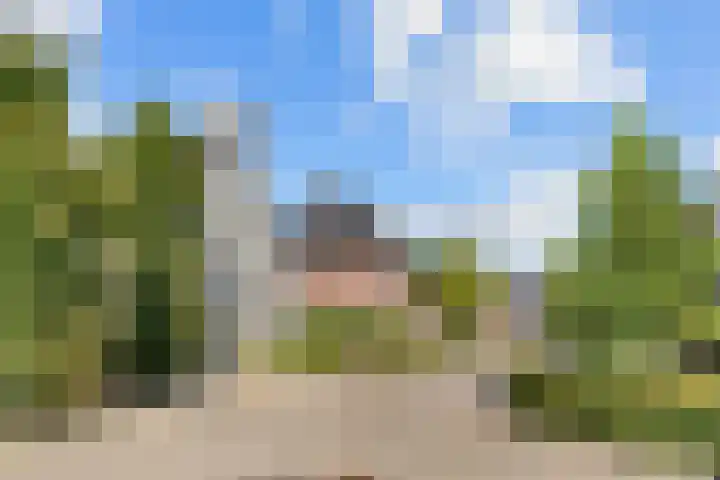 Bruine Vuurvlinder 10 Tiel thumbnail 4