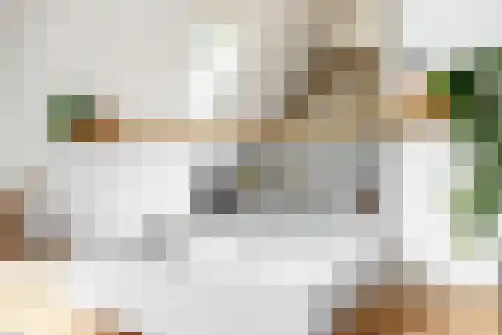 Bruine Vuurvlinder 10 Tiel thumbnail 46