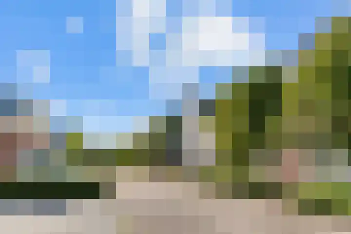 Bruine Vuurvlinder 10 Tiel thumbnail 5