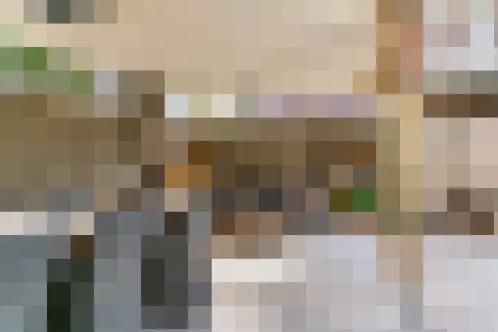 Bruine Vuurvlinder 10 Tiel thumbnail 53