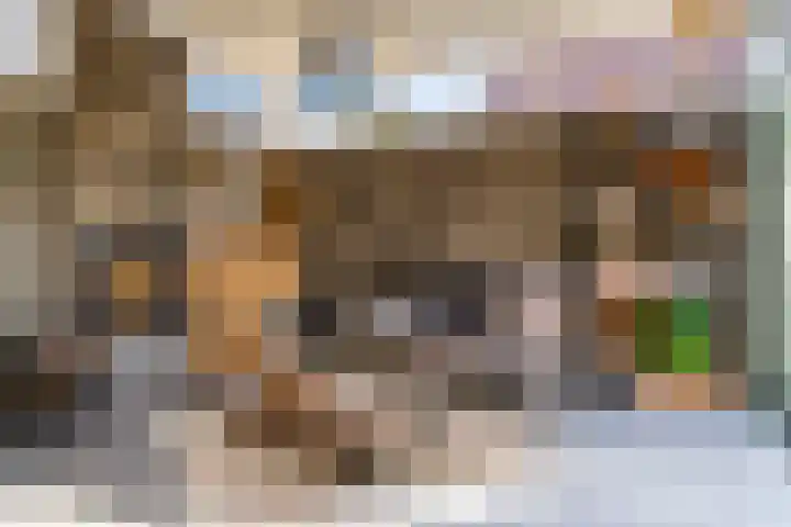 Bruine Vuurvlinder 10 Tiel thumbnail 54