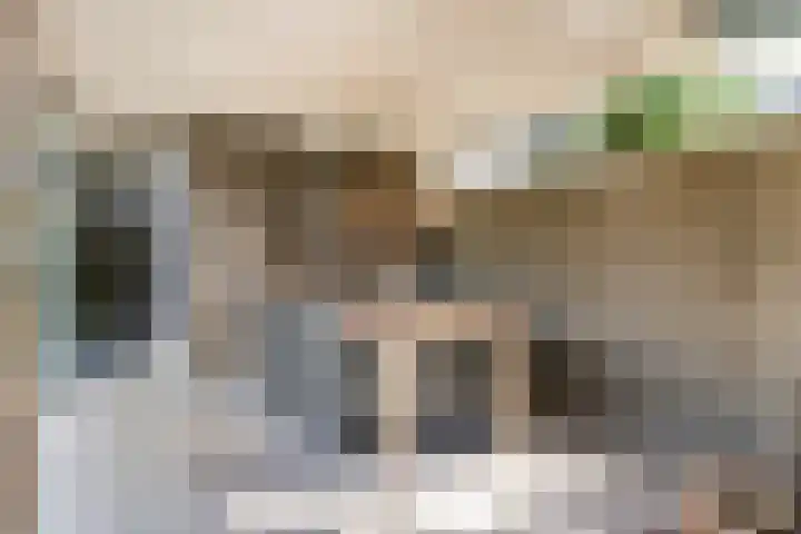 Bruine Vuurvlinder 10 Tiel thumbnail 55