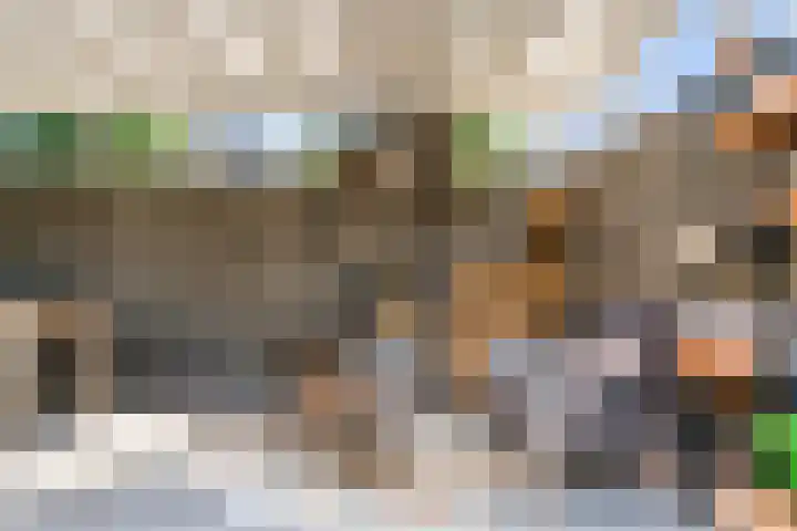 Bruine Vuurvlinder 10 Tiel thumbnail 56