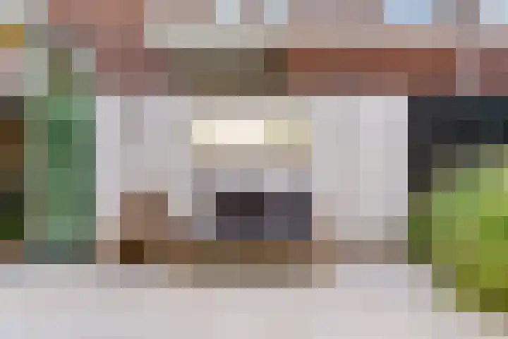 Bruine Vuurvlinder 10 Tiel thumbnail 57