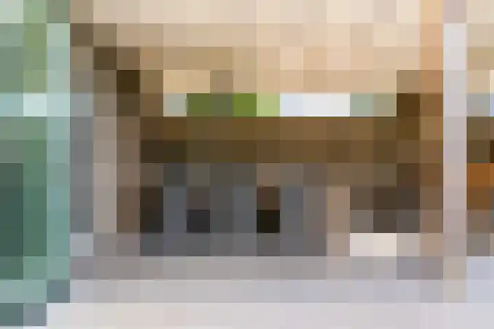 Bruine Vuurvlinder 10 Tiel thumbnail 58