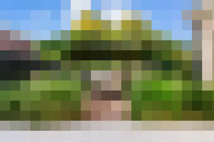 Bruine Vuurvlinder 10 Tiel thumbnail 59
