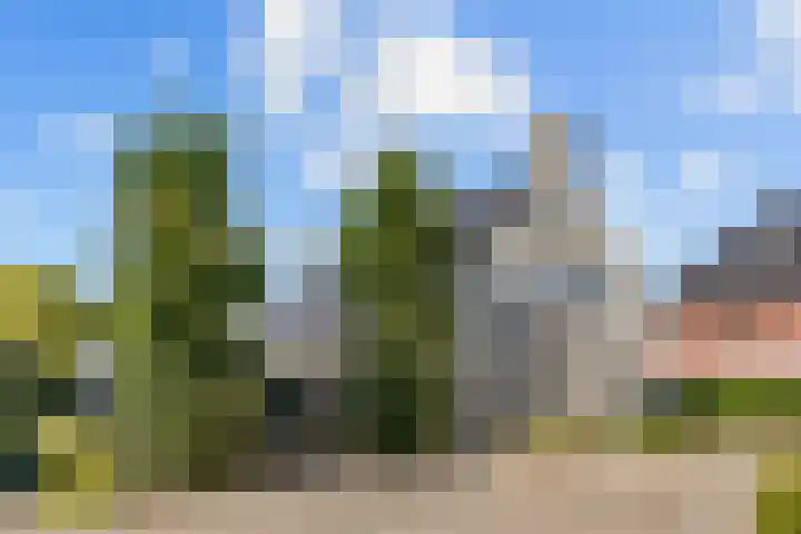 Bruine Vuurvlinder 10 Tiel thumbnail 6