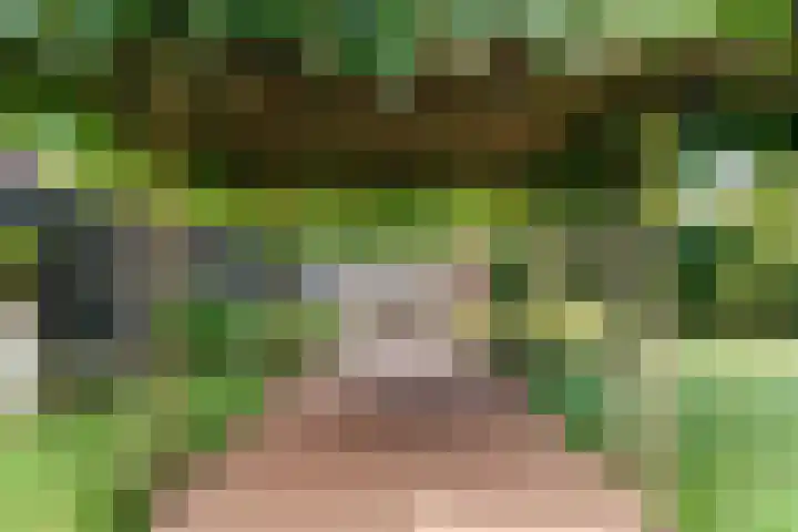 Bruine Vuurvlinder 10 Tiel thumbnail 60
