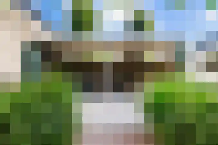 Bruine Vuurvlinder 10 Tiel thumbnail 61